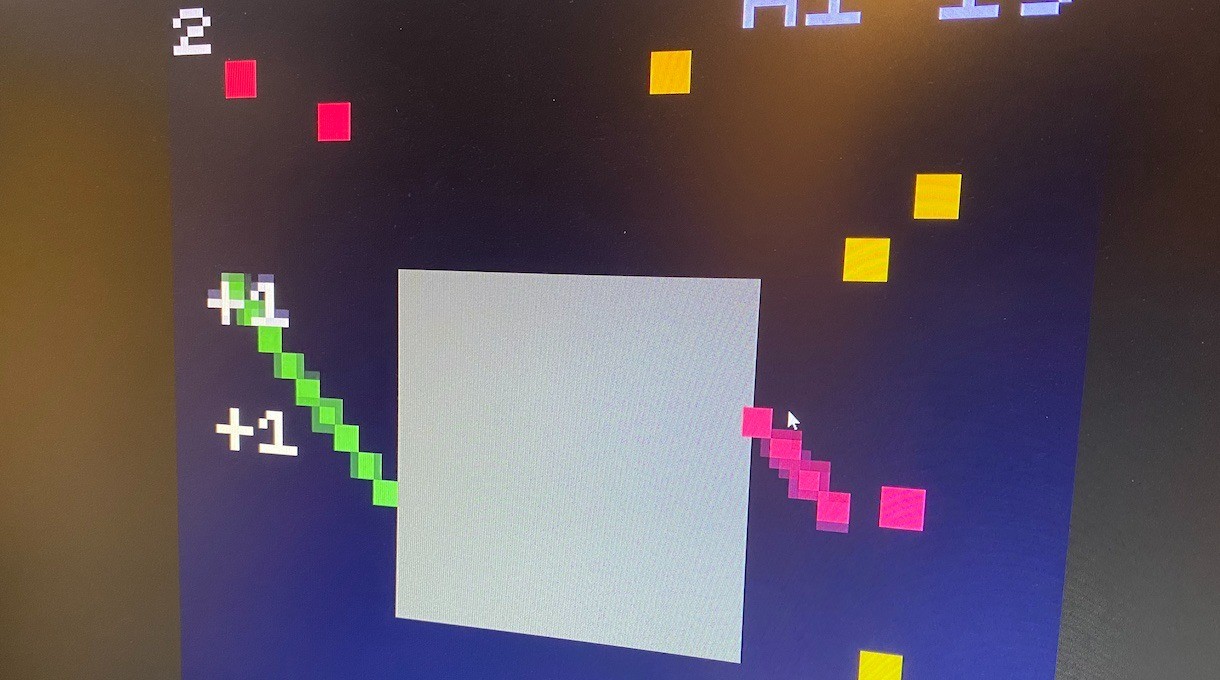 最も長生きする動物はどれですか - トゥアタラ