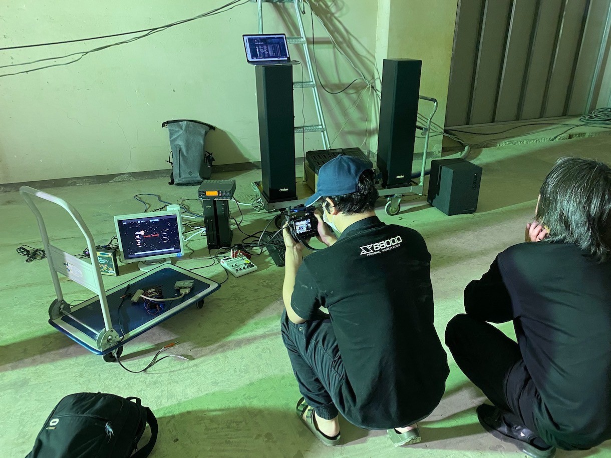 低光量が必要な観葉植物 - 細葉ドラセナ